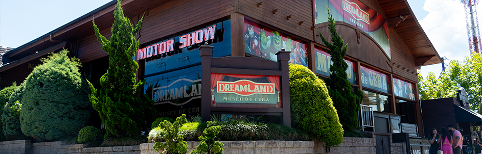 Passaporte Grupo Dreams - Imagem 2