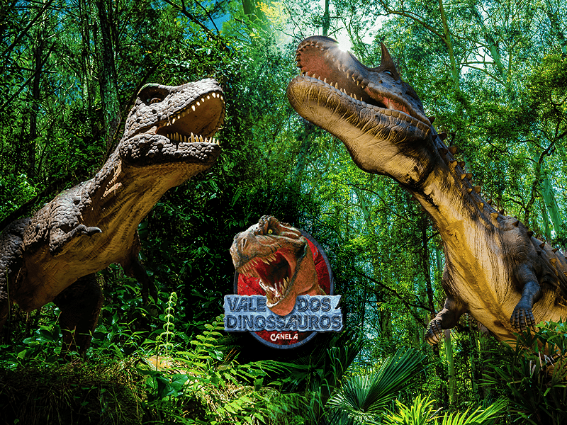 Passaporte Grupo Dreams - Imagem 8