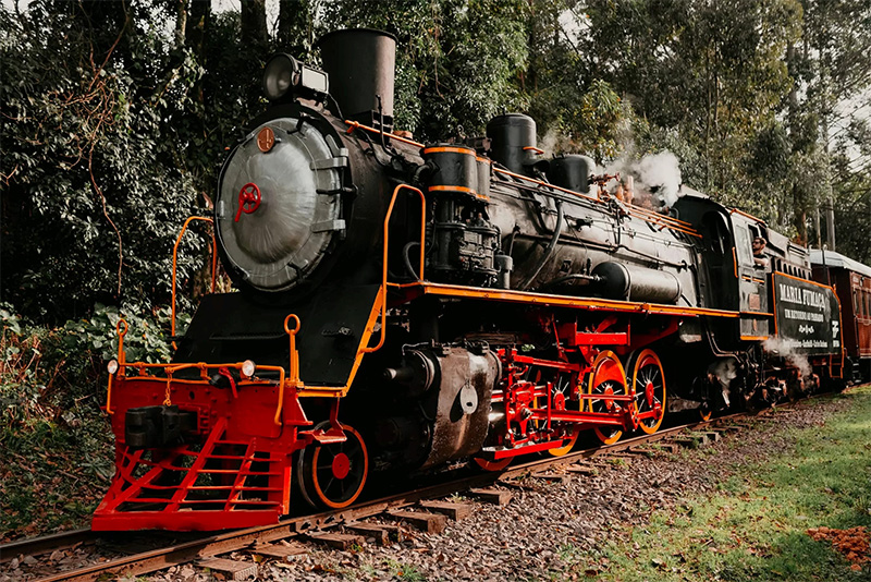 Tour Uva e Vinho + Passeio de Maria Fumaça + Epopeia + Almoço (Coletivo)